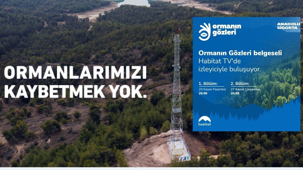 Anadolu Sigorta’nın Ormanın Gözleri projesi iki bölümlük belgesel oldu